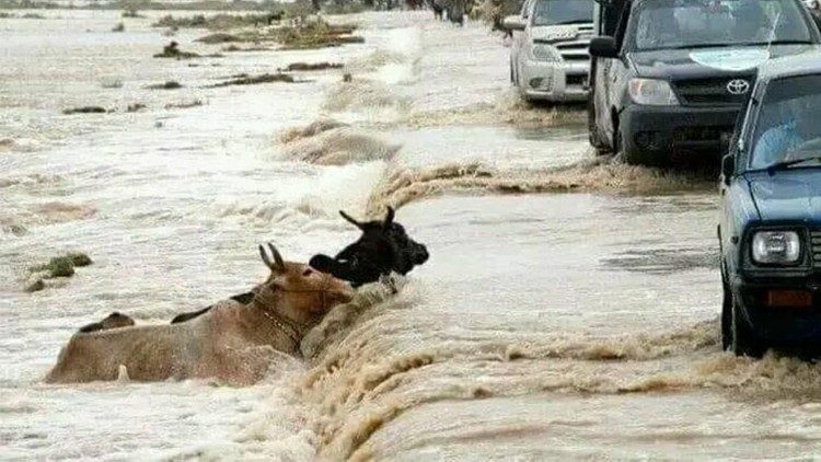 പാക്കിസ്ഥാനിലെ വെള്ളപ്പൊക്കം പഞ്ചാബിൽ പതിനഞ്ച് ലക്ഷത്തോളം അഭയാർത്ഥികൾ